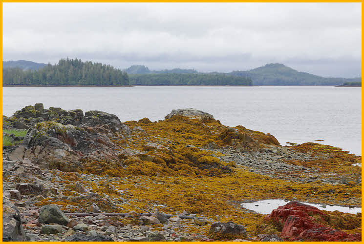 Cloudy Shore