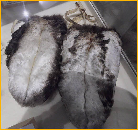 Loon Skin Mittens