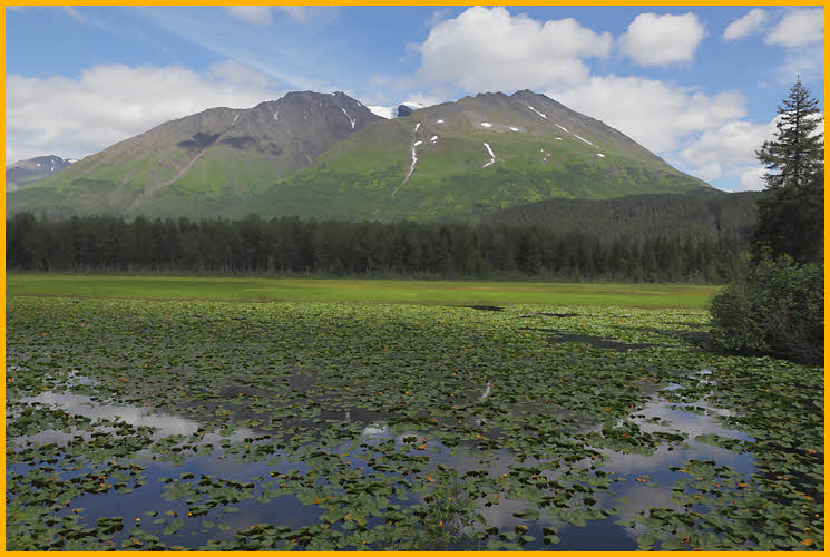 Pond and Mountain