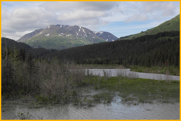 Kenai Fjords National Park