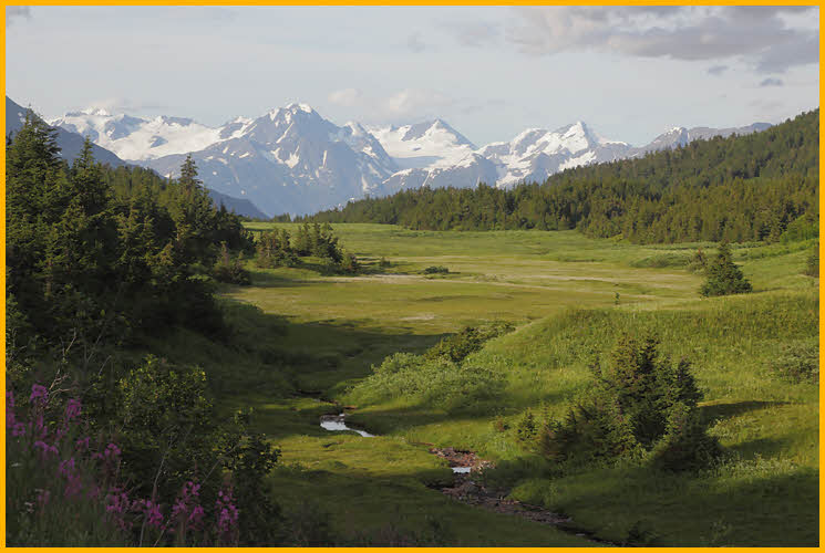 Meadow and Mountains