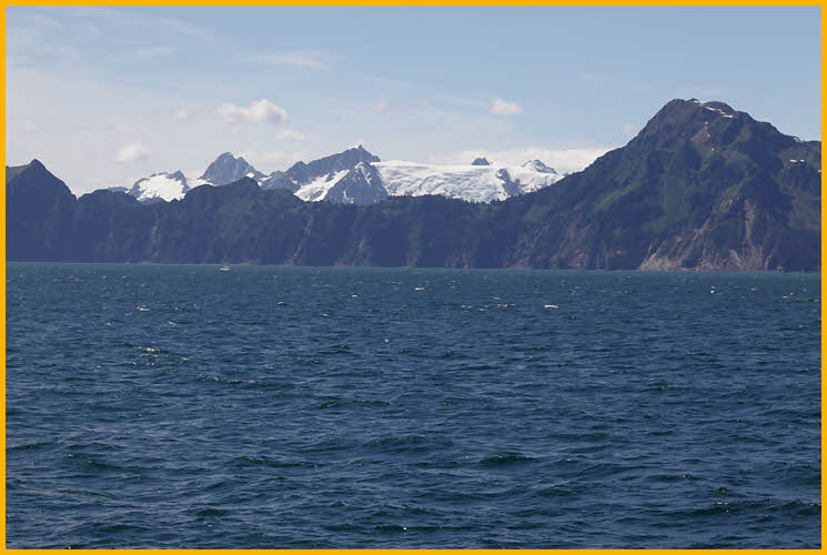 Ice Field above Bear Glacier