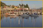 Harbor