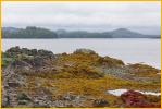 Cloudy Shore