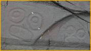 Petroglyph