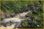 Stream