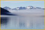 Tracy Arm