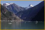 Tracy Arm
