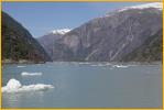 Tracy Arm