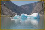 Ice Berg
