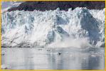 Margerie Glacier Calving