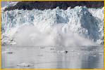 Margerie Glacier Calving
