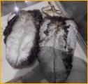 Loon Skin Mittens