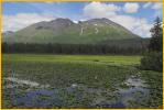 Pond and Mountain