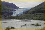 Exit Glacier