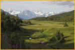 Meadow and Mountains