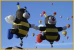 The Bees in the Air