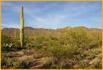 Evening Desert View