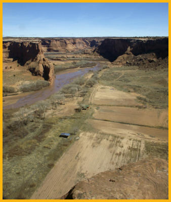 Homes in Canyon