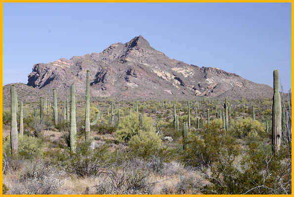 Bates Mountains