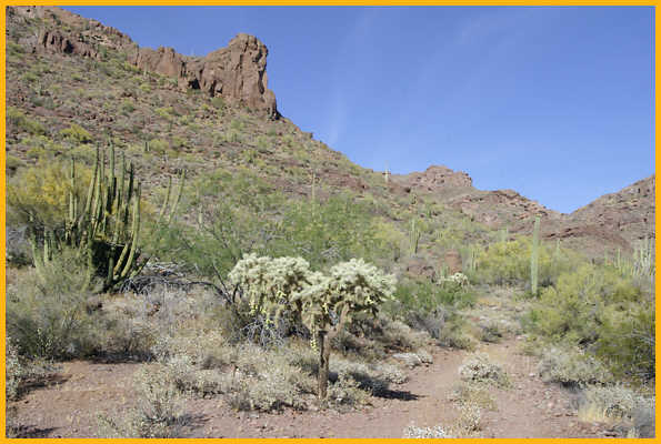 Alamo Canyon