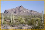 Bates Mountains