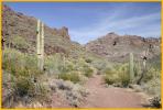 Alamo Canyon