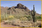 Alamo Canyon