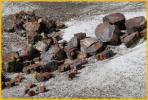 Petrified Log Pieces