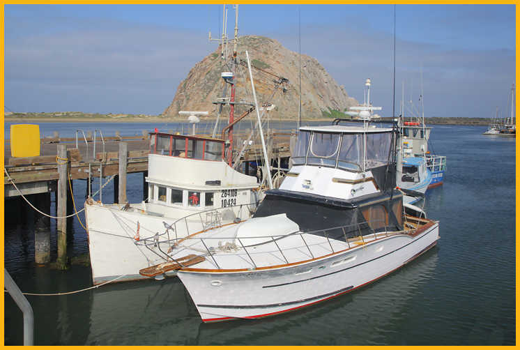 Fishing Boats in Morro Bay