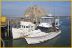 Fishing Boats in Morro Bay