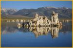 Tufa in Mono Lake