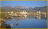 Tufa in Mono Lake
