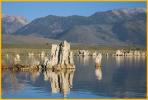 Tufa in Mono Lake