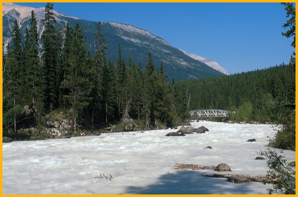 Yoho River