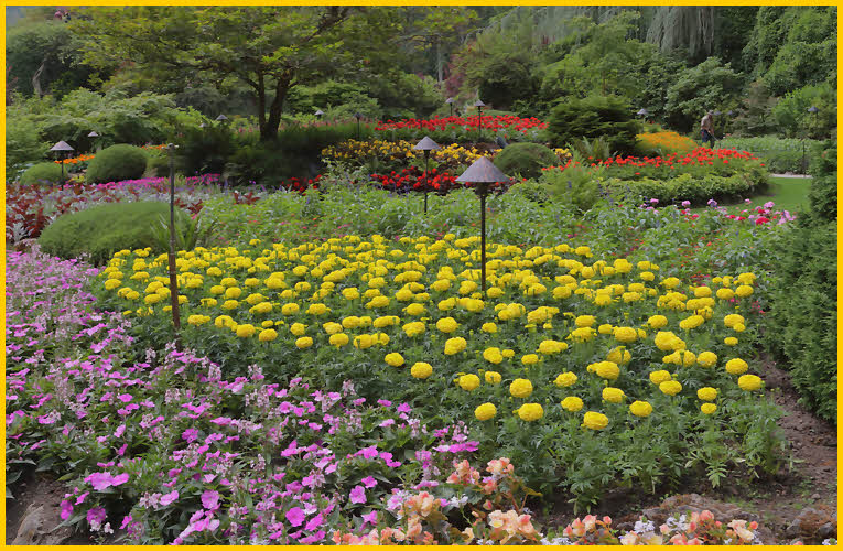 Flower Beds