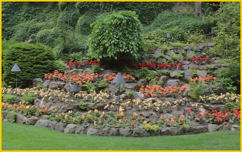 Flower Beds