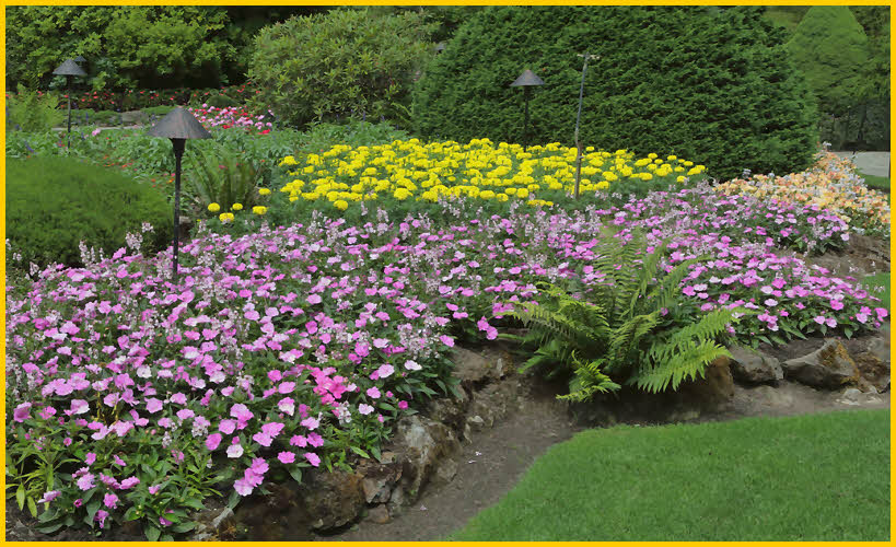 Flower Beds