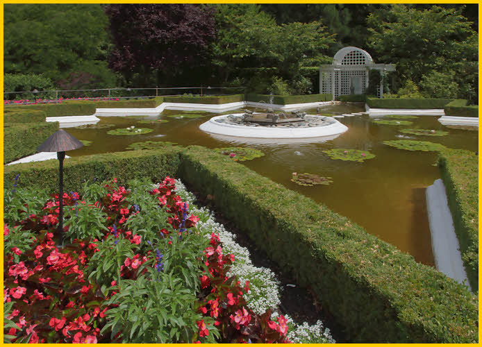Star Pond