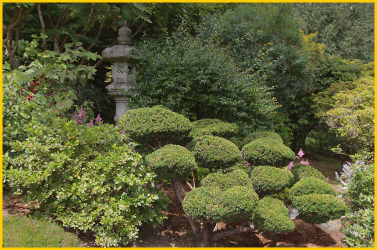 Japanese Garden