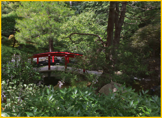 Bridge