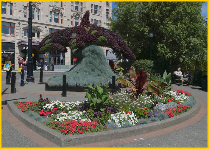 Dolphin Topiary