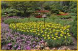 Flower Beds