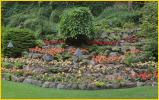Flower Beds