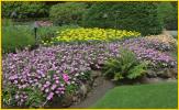 Flower Beds