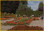Italian Garden