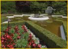 Star Pond