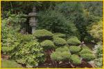 Japanese Garden