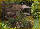 Pond
