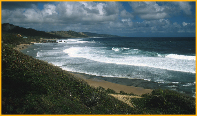 Barbados Beach